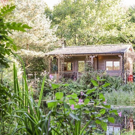 The Log Cabin Kilmore  المظهر الخارجي الصورة
